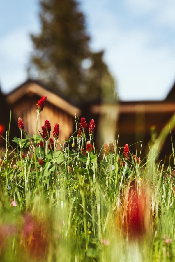 Hideaway Hotel Montestyria Chalets & Suiten Mariazell Zewnętrze zdjęcie